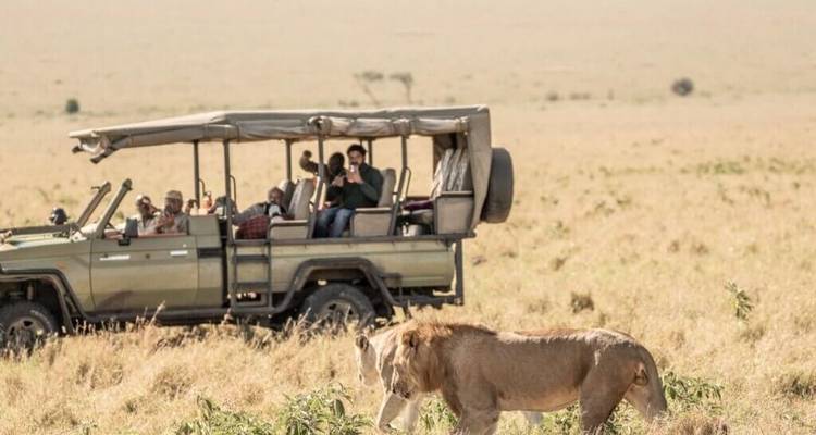 Paquete de 8 días de safari familiar de lujo y playa en Kenia - Exciting Africa Holidays 1