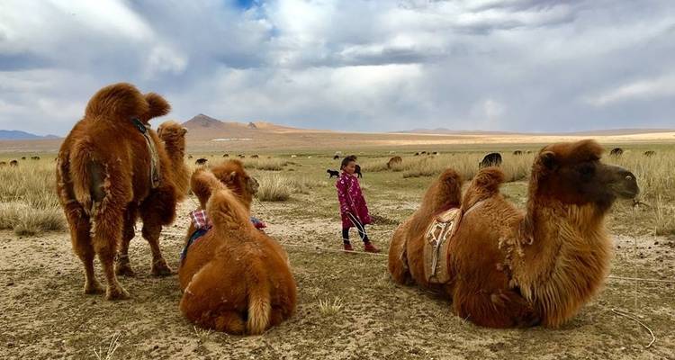 Xandu Descubrimiento de Mongolia Central - Xanadu Travel Mongolia 8