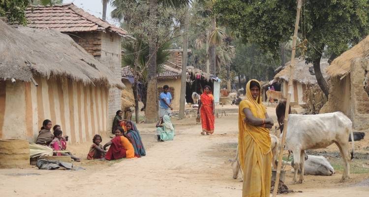 Scène de village avec les habitants locaux et les animaux.