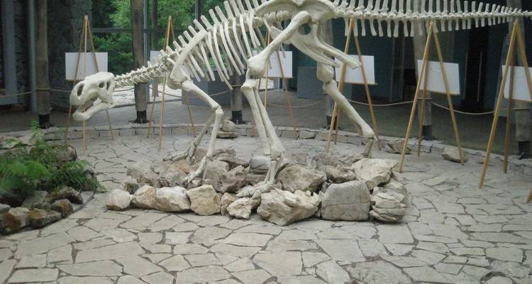 Exhibición de esqueleto de dinosaurio en interior rodeado de rocas y azulejos.