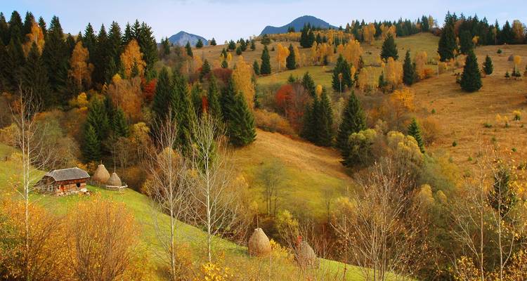 Autumn countryside of rolling hills dotted with haystacks and mixed forest in vivid colors