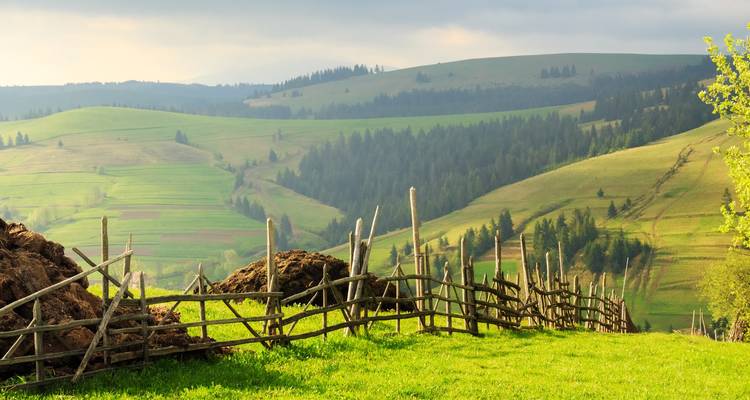 Rolling green hills and forests separated by a rustic wooden fence in pastoral countryside light.