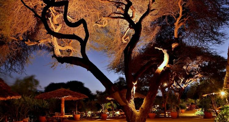 Lo mejor del norte de Kenia: Safari de lujo de 7 días a Aberdares, Samburu y Meru - Pam Tours and Travel  10