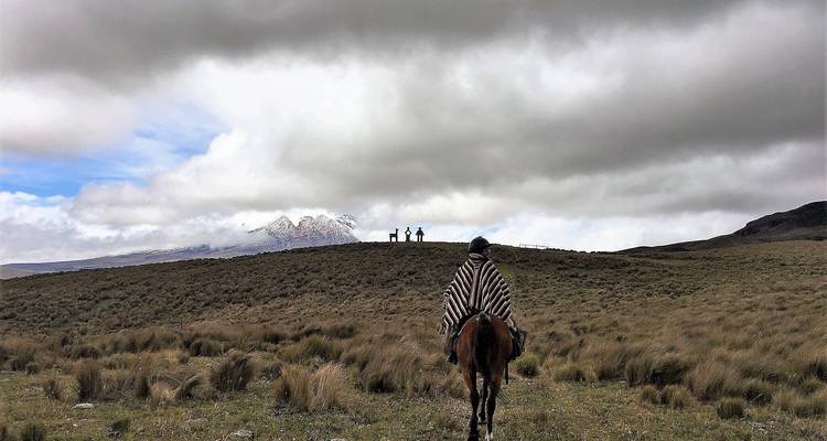 Condor Path - Tierra del Volcan 2