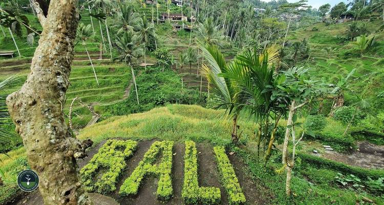 Bali Classic 12 jours - One Life Adventures - One Life Adventures 2