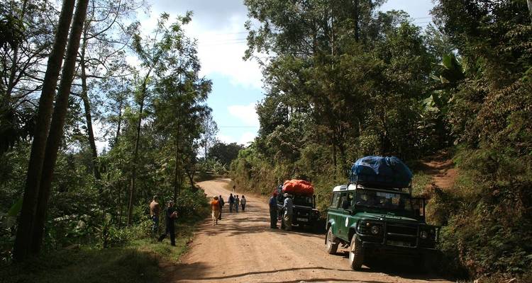 6 jours de Trekking sur le Kilimandjaro par la route de Rongai - Meru Slopes Tours and Safaris ltd 6