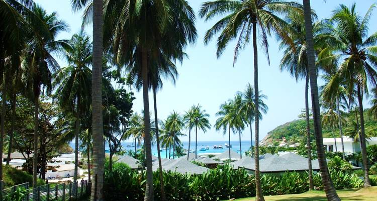 Tropischer Strand mit Palmen und Meerblick.