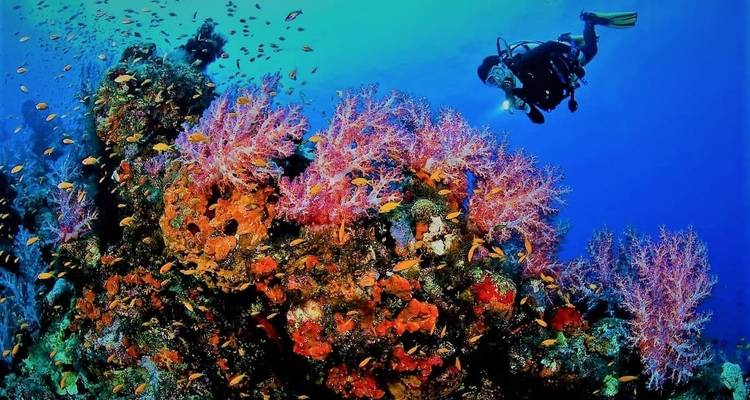 Découvrez Le Caire, la croisière sur le Nil et Sharm El Sheikh 12 jours 5* - Look at Egypt Tours  3