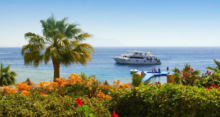 Vista panorámica junto a la playa con un yate y palmeras.