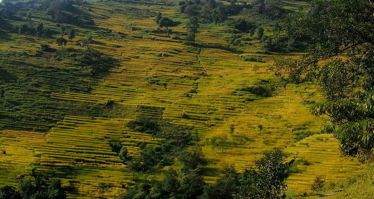 Milke Danda 11 días excursionismo - Mega Mount Treks and Expedition Pvt.Ltd.  3