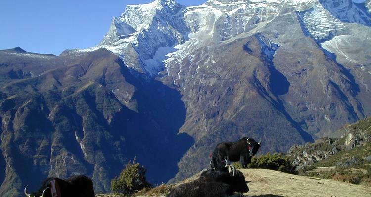 Excursión al campamento base del Everest - 14 destinos - Corporate Adventure Treks Pvt. Ltd. 4