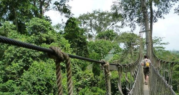 El Camino de la Resiliencia: Un viaje a través de la Ruta del Esclavo - Landtours Ghana Ltd. 8