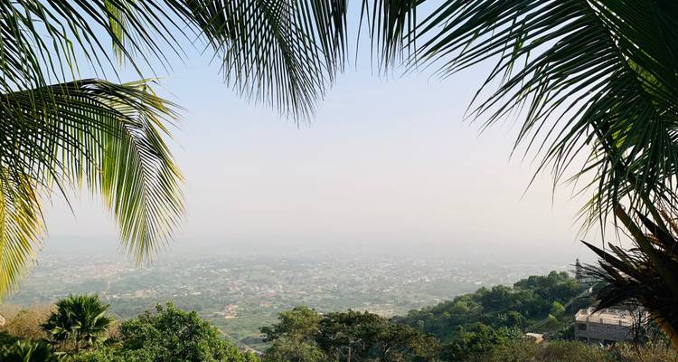 Una vista panorámica a través de palmeras sobre un paisaje con colinas distantes.