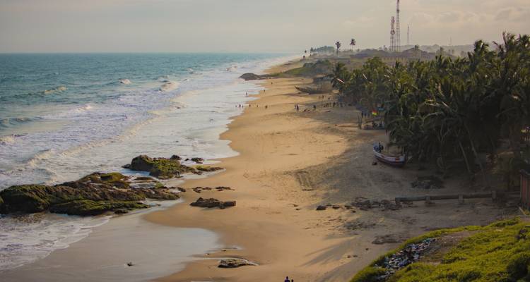 Vista aérea de una playa bordeada de palmeras y olas del océano.