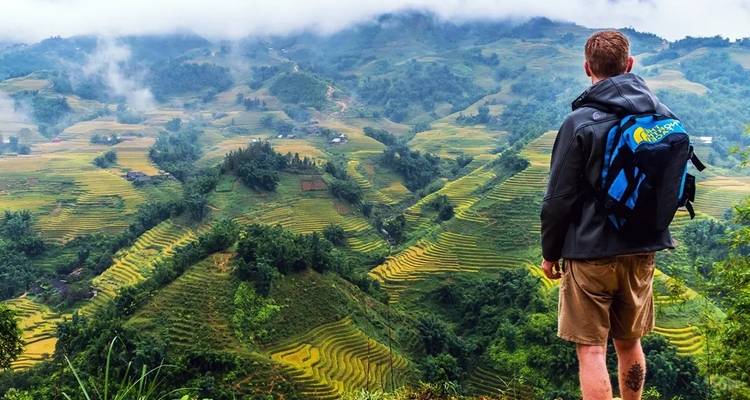 A person standing and viewing terraced fields with mist.