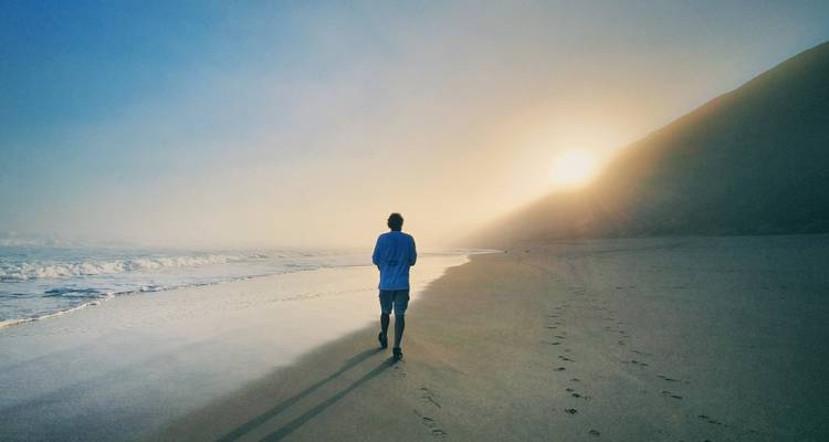 Explore the Garden Route from Cape Town - 4 Days - Explore South Africa 4