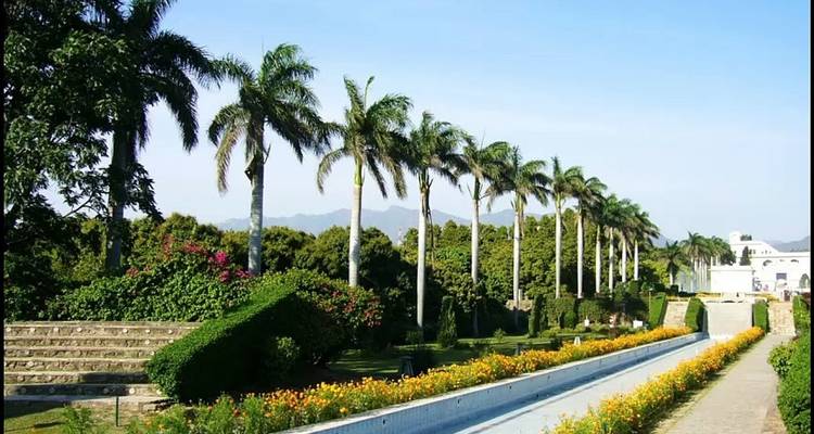 Himalayan Hues: Delhi to Shimla and Manali Experience - Golden Triangle Tours Of India 7
