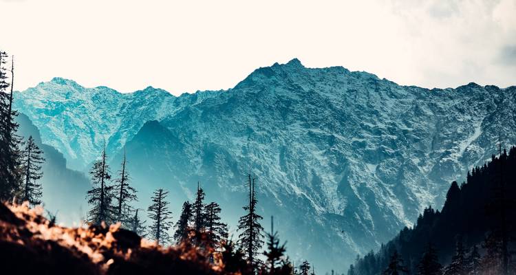 Shimla Manali Tour with Taj Mahal (Ex - Delhi) - Alkof Holidays 3