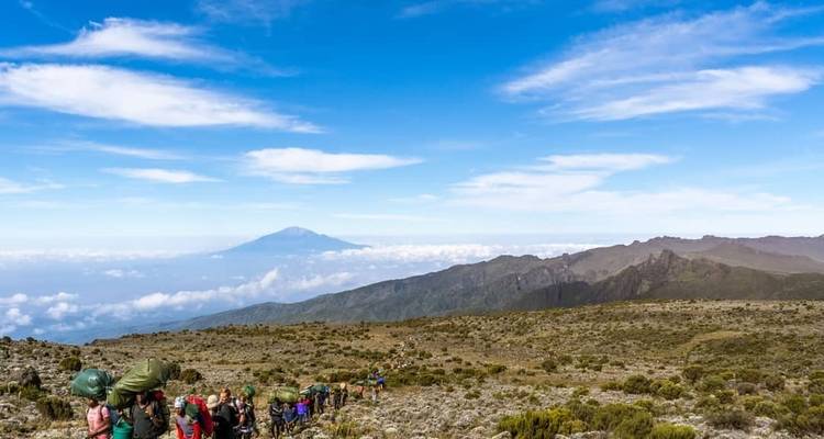 Escalada Kilimanjaro ruta Lemosho - Oclaa Adventures - Oclaa Adventures Tanzania 3