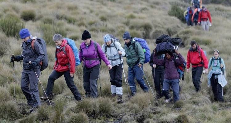 Escalada Kilimanjaro ruta Lemosho - Oclaa Adventures - Oclaa Adventures Tanzania 4
