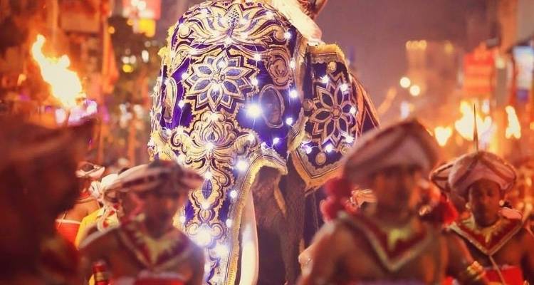 Elefant geschmückt mit Lichtern bei einem Nachtfestival.