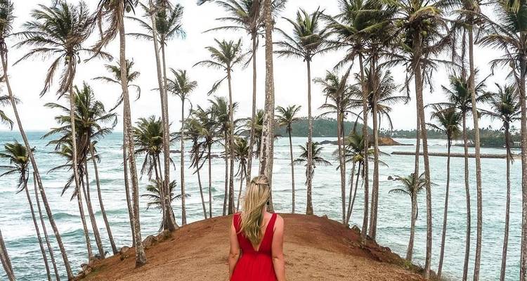 Cool Sri Lanka - 12 Days - Stelaran Holidays (Pvt) Ltd 10
