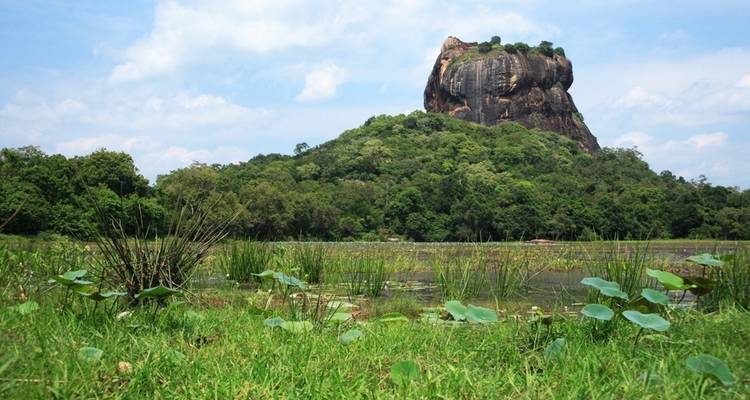 Cool Sri Lanka - 12 días - Stelaran Holidays (Pvt) Ltd 8
