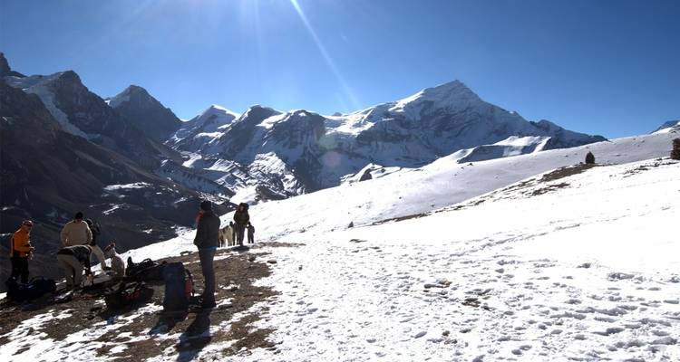 Group of people trekking on snow-covered terrain.