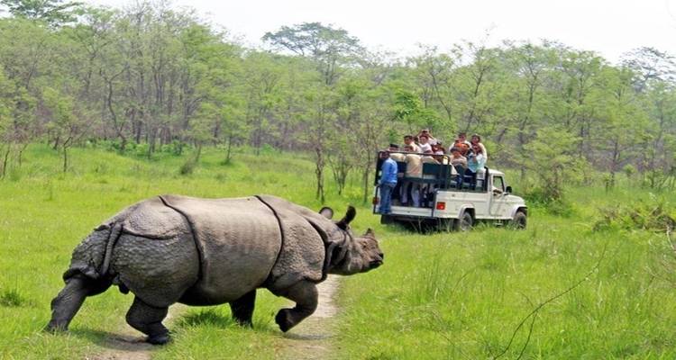 Chitwan Jungle Safari 2 Night 3 Days - Peregrine Treks and Expedition Pvt Ltd 10