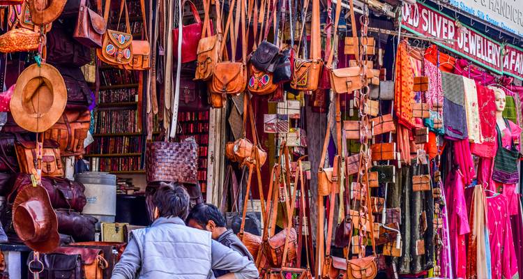 Rajasthan Royal Heritage Expedition - Agora Voyages OPC Pvt Ltd 6
