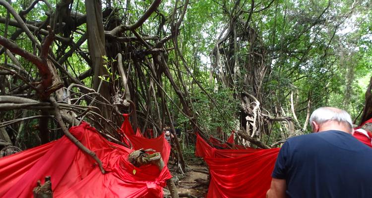 Circuito ecológico a la playa en Nosy Be - Sifaka Voyages 4