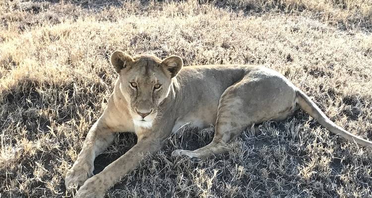 Circuito de un día al lago Manyara - Kilisa Tours & Safaris 6