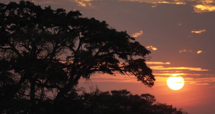 5 Day Ultimate Amboseli Ngorongoro Safari - Holiday Destination Safaris 2