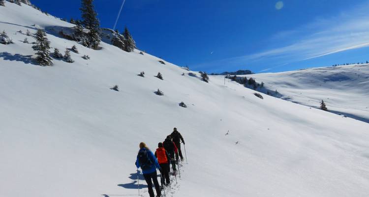 Raquettes à neige dans les Alpes roumaines - BikeInTime 7