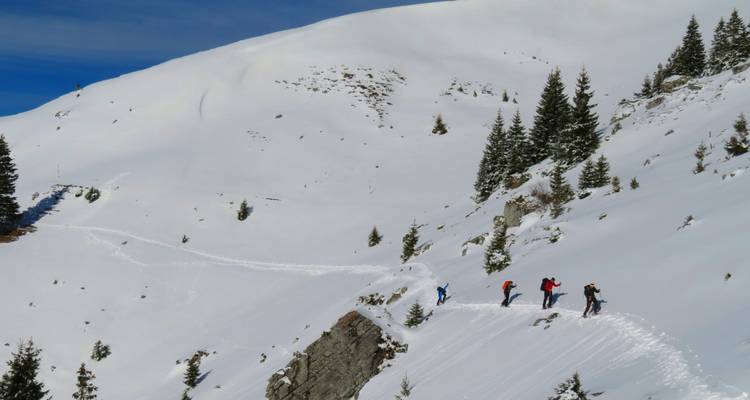 Raquettes à neige dans les Alpes roumaines - BikeInTime 2