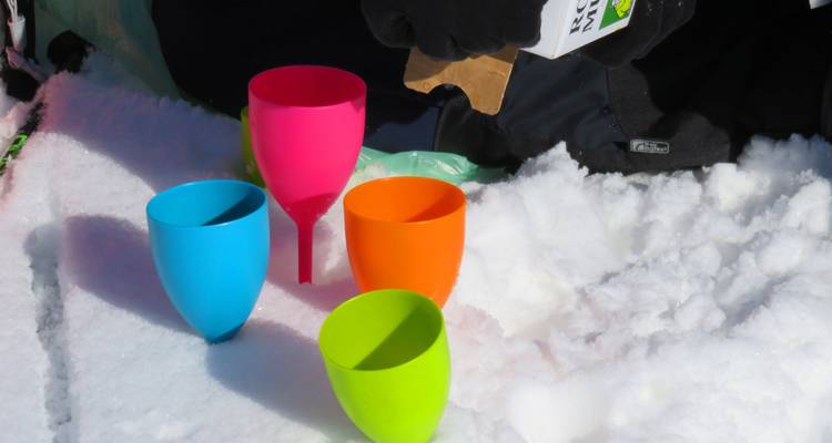 Raquettes à neige dans les Alpes roumaines - BikeInTime 6
