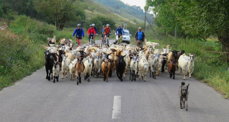 Retrocede en el tiempo en bicicleta - Transilvania medieval - BikeInTime 10