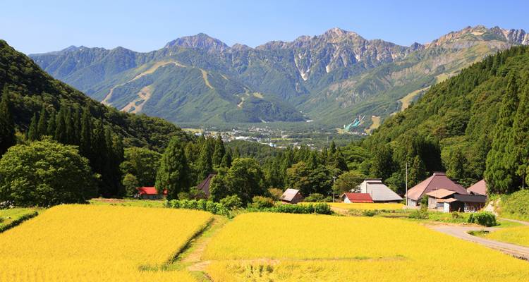 Vallée alpine panoramique avec des champs de riz dorés, des versants boisés et des pics montagneux dentelés à l'horizon.