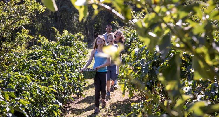 Viaje familiar a Costa Rica: de la selva a la costa - G Adventures 1
