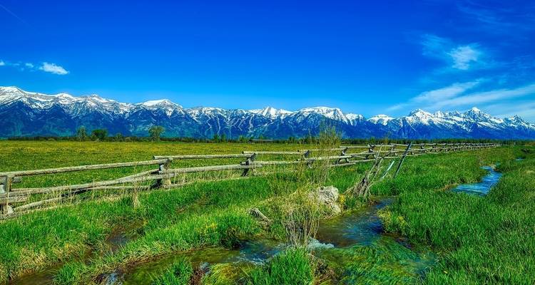Voyage dans les parcs nationaux en famille : Yellowstone et Grand Teton - G Adventures 7