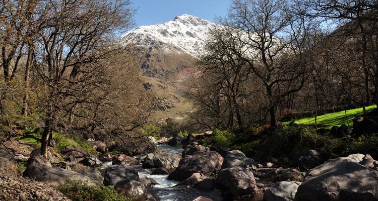 Montaña nevada al fondo con un río pedregoso en primer plano.