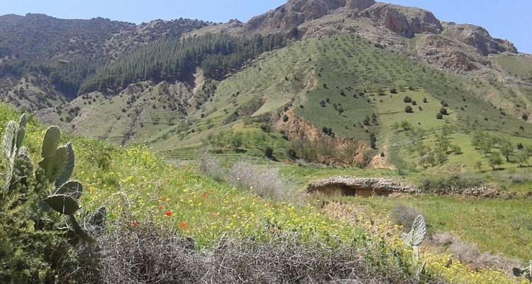 Excursión a los pueblos bereberes y travesía de montaña 4 días y 3 noches - Morocco Mountain Guides 9
