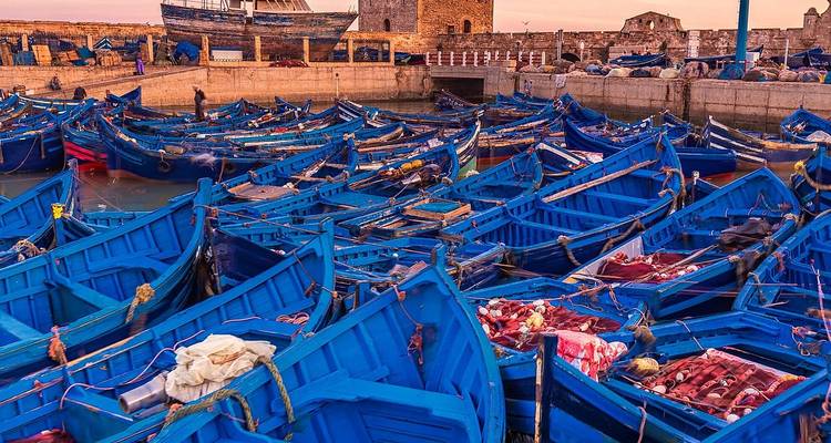 Hunderte von leuchtend blauen hölzernen Fischerbooten, die bei Sonnenuntergang dicht gedrängt im Hafen von Essaouira liegen.