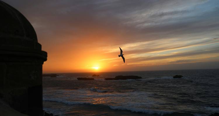 Atardecer naranja sobre el Atlántico mientras un ave marina se desliza por la torreta de la muralla de Essaouira