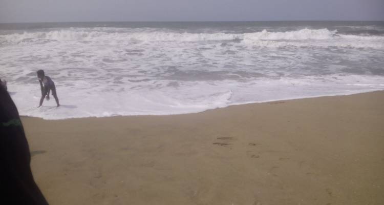 Odisha Temple & Mangrove Forest Expedition - Agora Voyages OPC Pvt Ltd 1