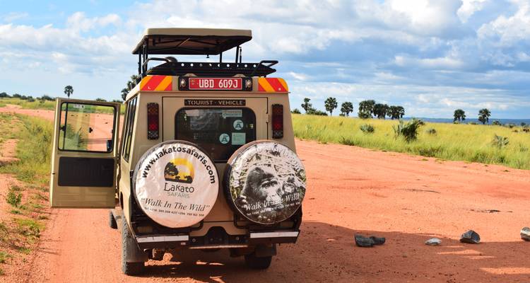 Circuito de un día a Entebbe y a la Isla de Ngamba con chimpancés - Lakato Safaris 1
