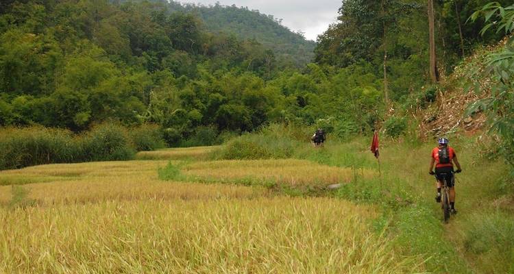 Expérience de la piste de Chiang Mai - SpiceRoads Cycling 8