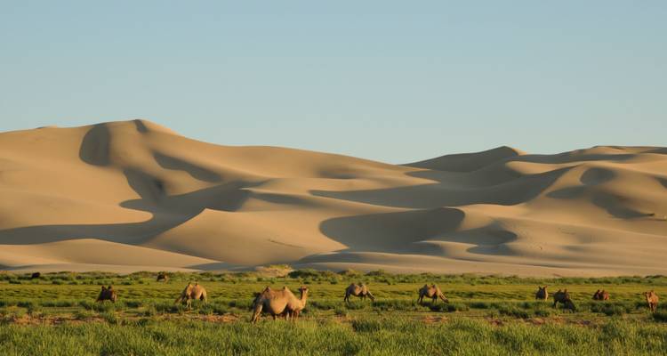 Circuit dans le Gobi 5J/4N - Trip De Nomadic 4