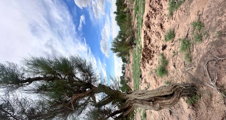 Gobi and Orkhon Valley 9D/8N - Trip De Nomadic 7