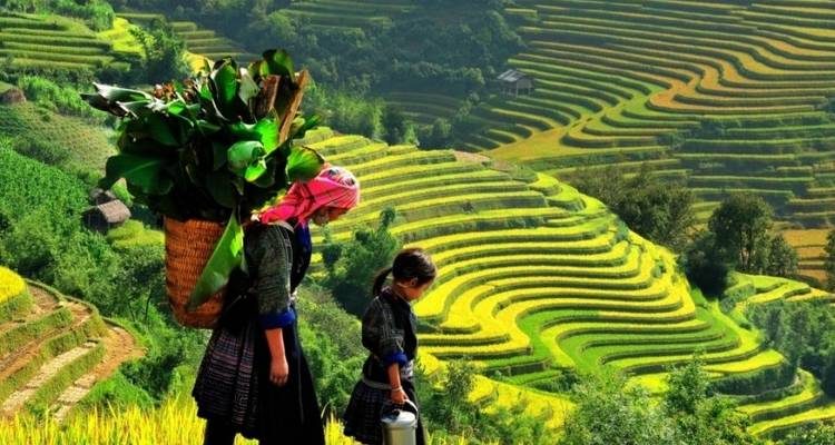 Sapa 2 Days 1 Night From Hanoi - Overnight in Hotel - Vietnam Travel Top 6